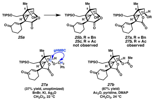 Scheme 7