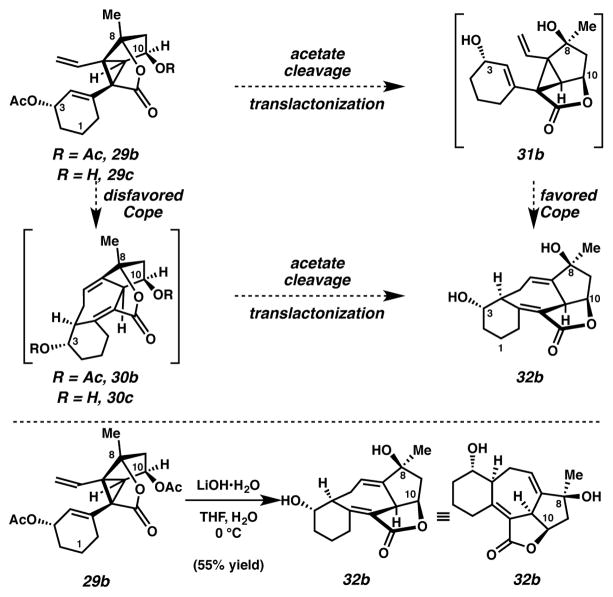 Scheme 9