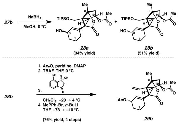 Scheme 8