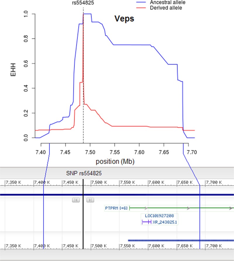 Fig 3