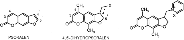 graphic file with name nihms-1948869-f0001.jpg