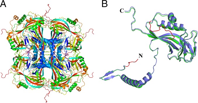 Fig. 3.