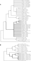 FIG.3.