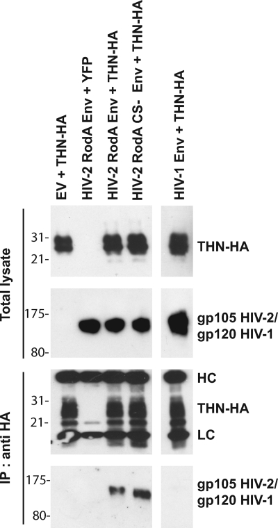 FIG. 5.