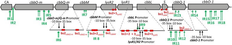 FIGURE 3