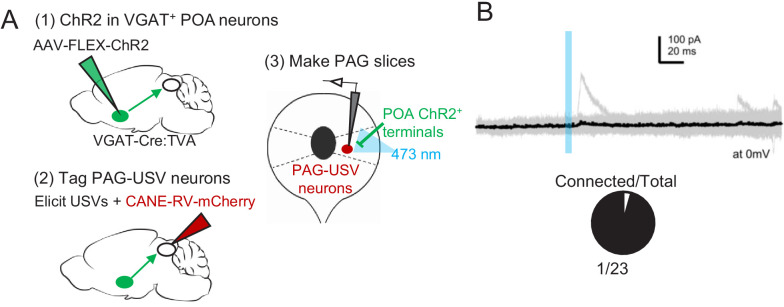 Figure 6—figure supplement 1.