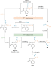Scheme 9
