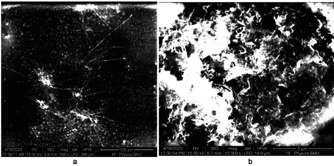 Fig. 18