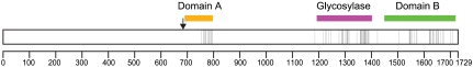 Fig. 3.