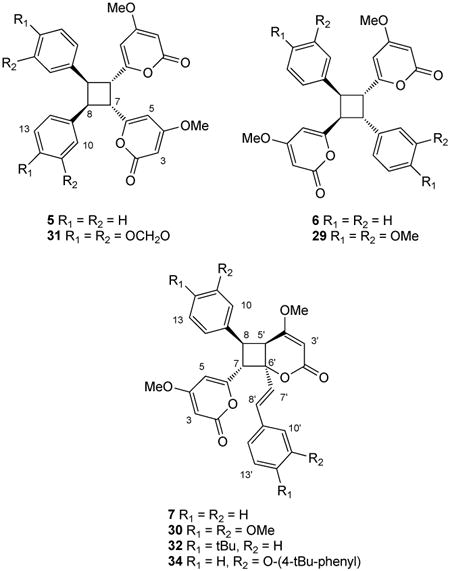 graphic file with name nihms347559u2.jpg