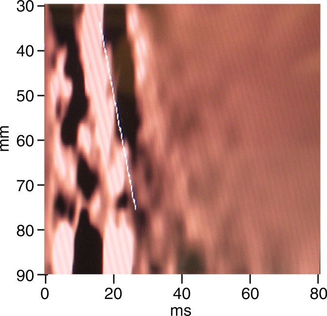 Figure 3c: