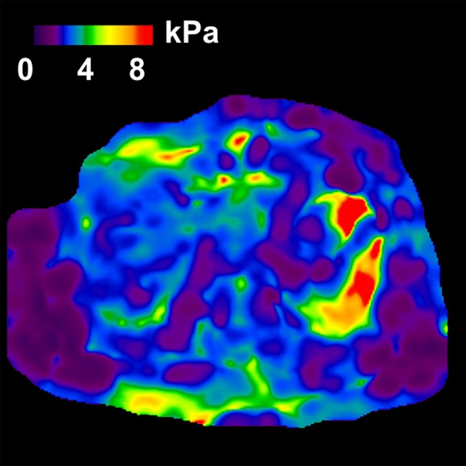 Figure 2b: