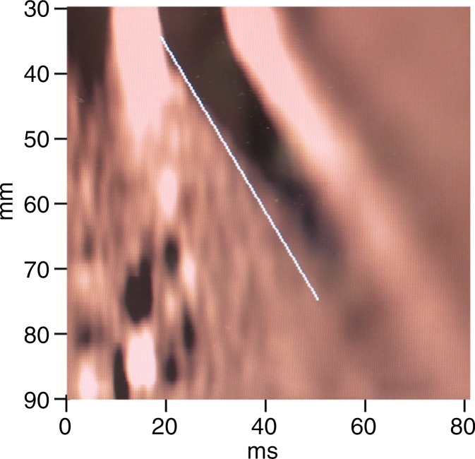 Figure 2c: