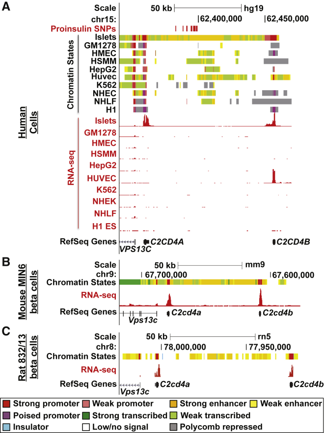 Figure 2