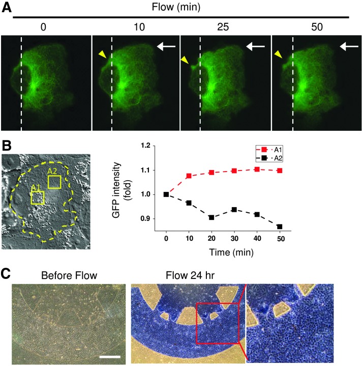 FIG. 6.