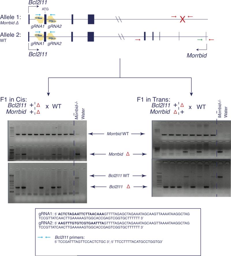 Extended Data Fig. 9