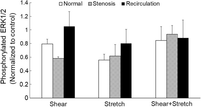 Figure 7