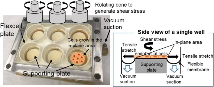 Figure 1