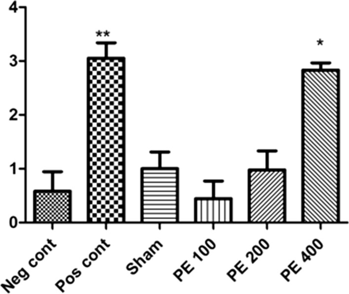 Fig. 13