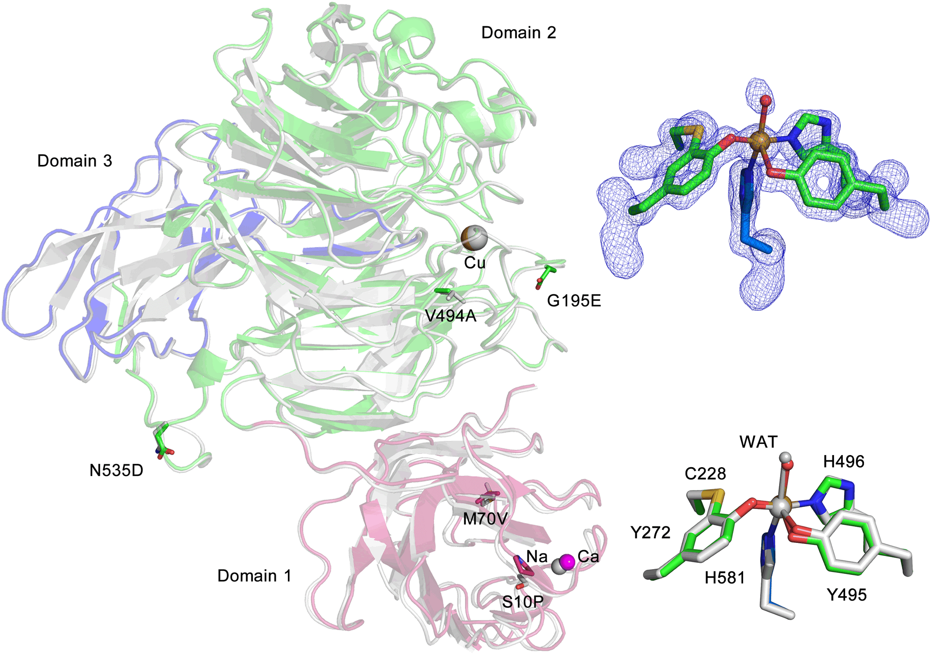 Figure 1.