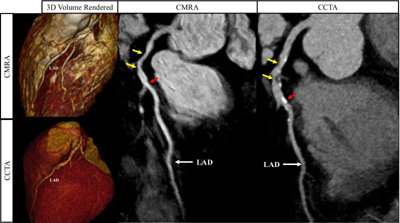 Fig. 9