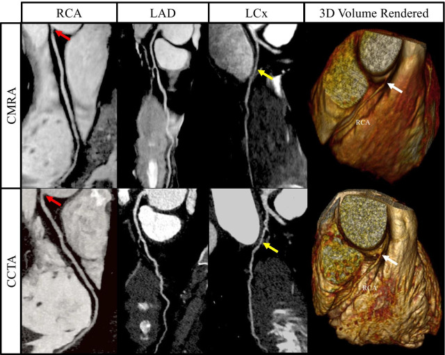 Fig. 8