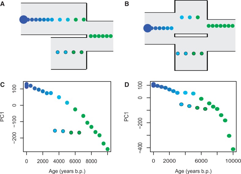 Fig. 7.