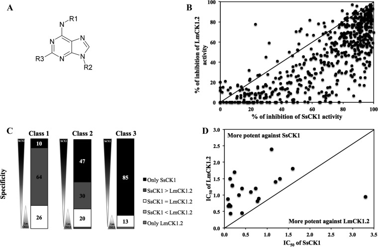 FIG 3