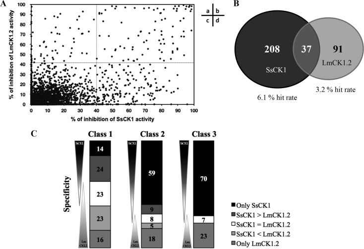 FIG 1