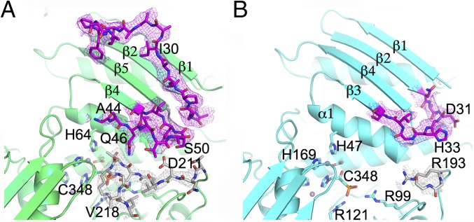 Fig. 4.