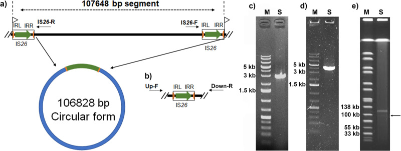 FIG 2