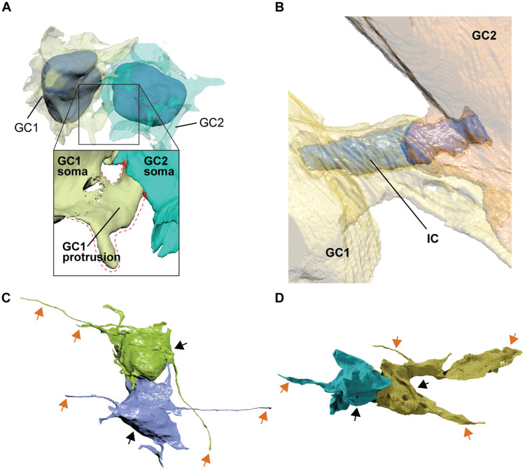 Fig. 3.