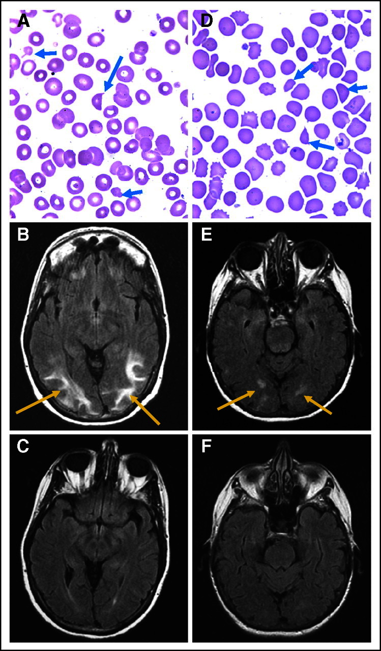 Fig 1.