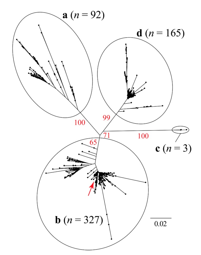 Figure 2