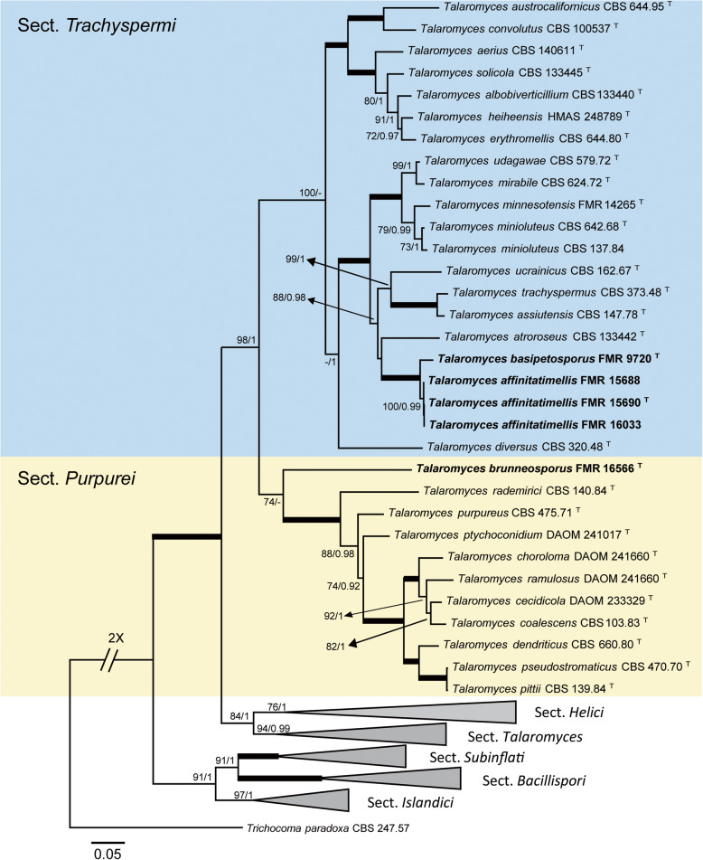 Fig. 4