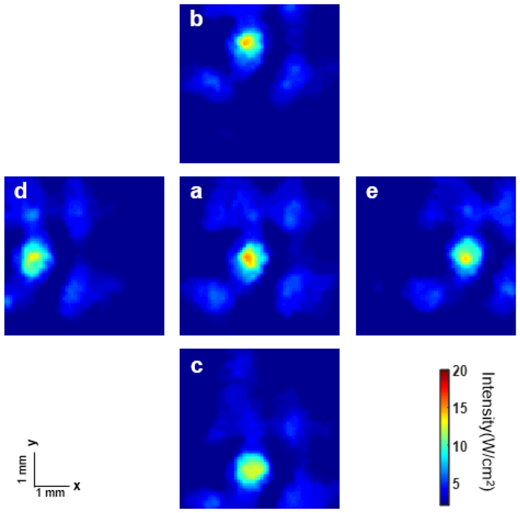 Fig. 4.