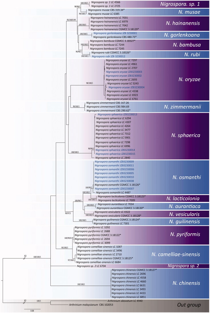 Figure 1.