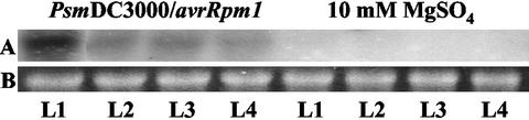 Figure 5.