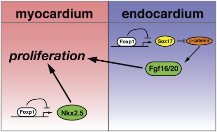 Figure 9.