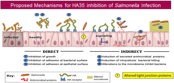 Figure 10.