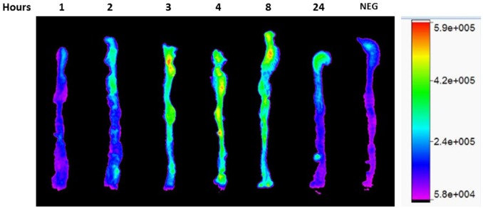 Figure 1.