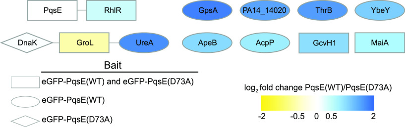 FIG 1