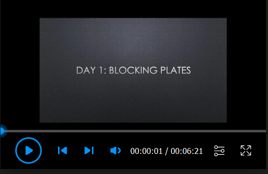 
Video 2.
