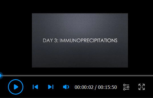 
Video 4.
