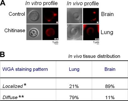 FIG. 9.