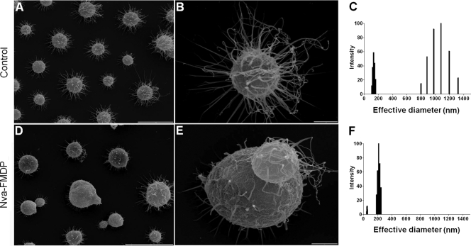 FIG. 7.