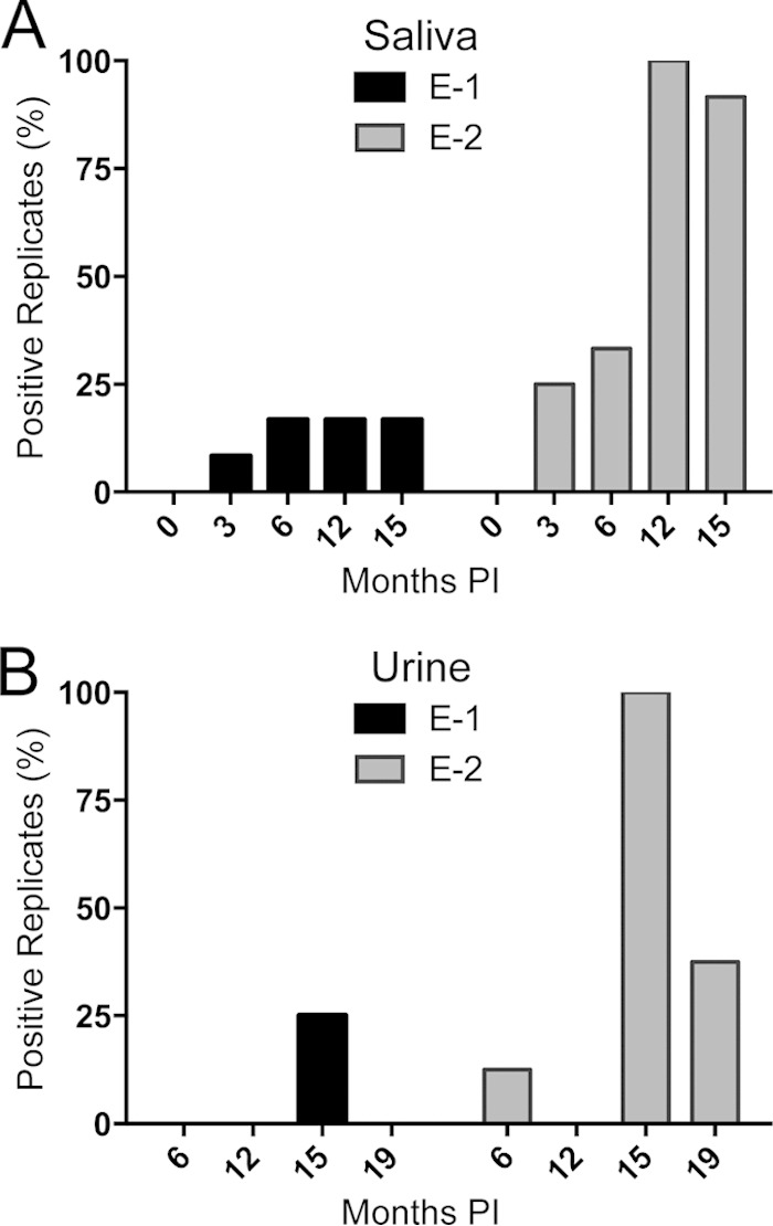 FIG 6