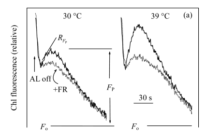 Fig.4