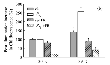 Fig.4