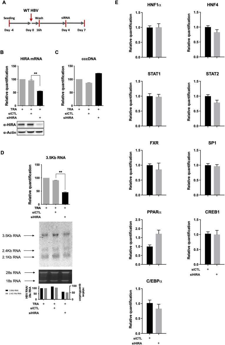 Figure 11